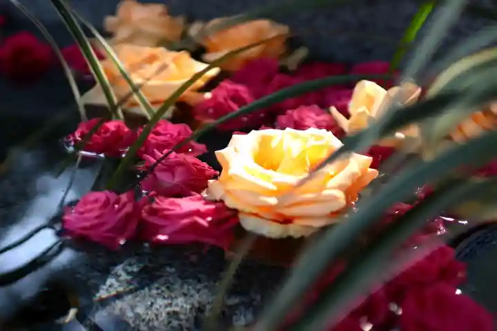 三津厳島神社の手水舎