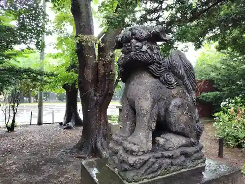 新琴似神社の狛犬