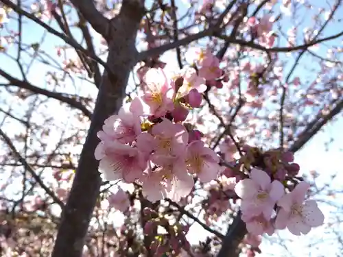 白山神社(静岡県)