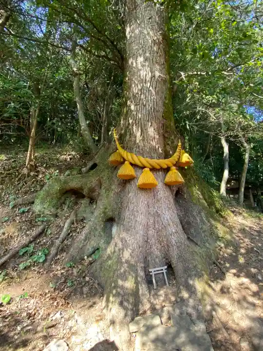 鎮西大社諏訪神社の{uncategorized: "未分類", other: "その他", undefined: "問題あり", building: "その他建物", grave: "お墓", sacred_gate: "鳥居", guardian: "狛犬", statue: "像", buddha: "仏像", history: "歴史", nature: "自然", garden: "庭園", animal: "動物", pagoda: "塔", temizu: "手水舎", mountain_gate: "山門・神門", sanctuary: "本殿・本堂", subordinate: "末社・摂社", art: "芸術", scenery: "景色", jizo: "地蔵", ema: "絵馬", goshuin: "御朱印", omikuji: "おみくじ", items: "授与品その他", amulet: "お守り", goshuincho: "御朱印帳", eats: "食事", festival: "お祭り", votive_dance: "神楽", shichigosan: "七五三参", wedding: "結婚式", experience: "体験その他", initially: "初詣", around: "周辺", anti_infection: "感染症対策"}