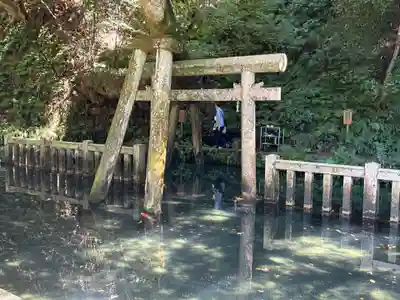 鹿島神宮(茨城県)