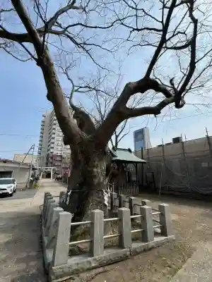 阿邪訶根神社(福島県)