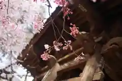 新井薬師（梅照院）の建物その他