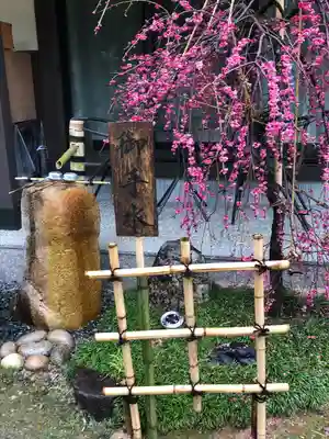 天満神社(福井県)