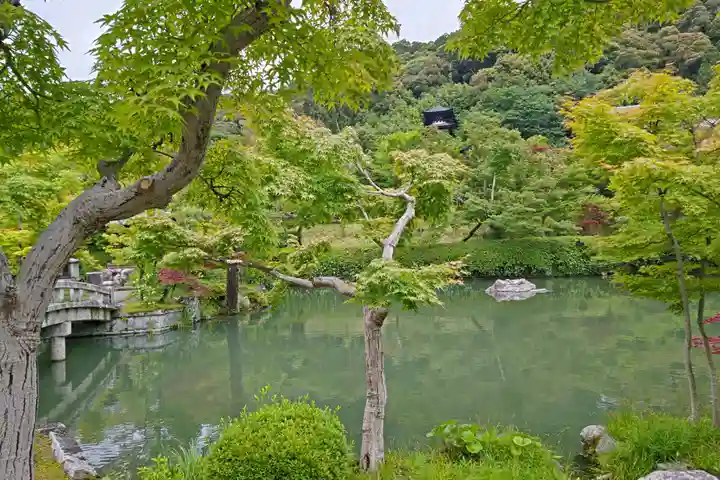 禅林寺(永観堂)(京都府)