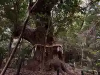 熱田神宮(愛知県)