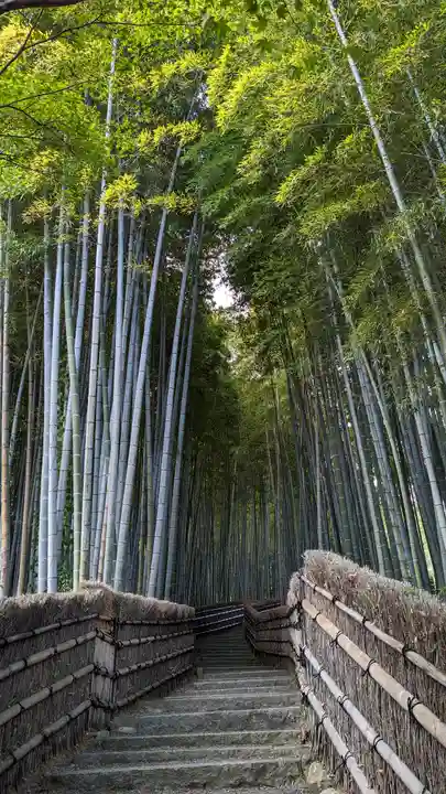 化野念仏寺(京都府)