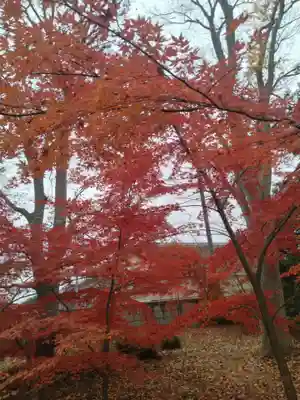 高音寺(宮城県)