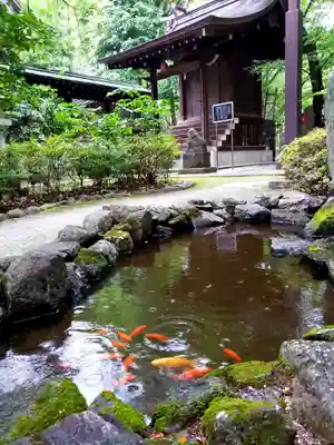 熊野神社(東京都)