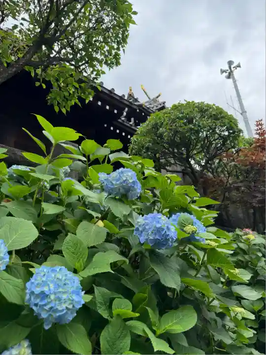 白山神社(東京都)