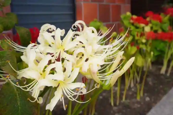 飛行神社(京都府)