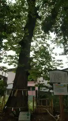 戸越八幡神社のその他建物