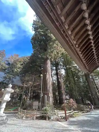 河口浅間神社(山梨県)