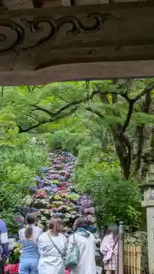 長谷寺(奈良県)