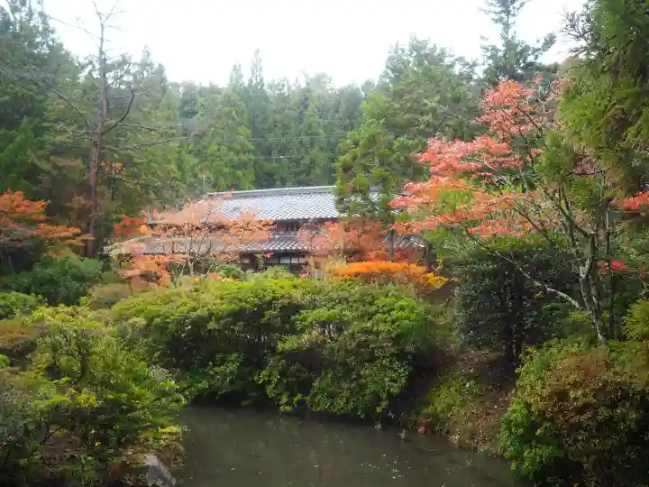 円成寺の{uncategorized: "未分類", other: "その他", undefined: "問題あり", building: "その他建物", grave: "お墓", sacred_gate: "鳥居", guardian: "狛犬", statue: "像", buddha: "仏像", history: "歴史", nature: "自然", garden: "庭園", animal: "動物", pagoda: "塔", temizu: "手水舎", mountain_gate: "山門・神門", sanctuary: "本殿・本堂", subordinate: "末社・摂社", art: "芸術", scenery: "景色", jizo: "地蔵", ema: "絵馬", goshuin: "御朱印", omikuji: "おみくじ", items: "授与品その他", amulet: "お守り", goshuincho: "御朱印帳", eats: "食事", festival: "お祭り", votive_dance: "神楽", shichigosan: "七五三参", wedding: "結婚式", experience: "体験その他", initially: "初詣", around: "周辺", anti_infection: "感染症対策"}