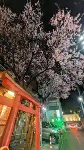 金蛇水神社(宮城県)(2025年03月28日(金) 19時54分56秒投稿)