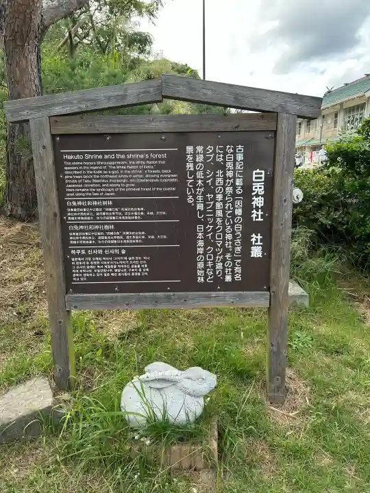 白兎神社(鳥取県)