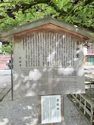 真正極楽寺（真如堂）の{uncategorized: "未分類", other: "その他", undefined: "問題あり", building: "その他建物", grave: "お墓", sacred_gate: "鳥居", guardian: "狛犬", statue: "像", buddha: "仏像", history: "歴史", nature: "自然", garden: "庭園", animal: "動物", pagoda: "塔", temizu: "手水舎", mountain_gate: "山門・神門", sanctuary: "本殿・本堂", subordinate: "末社・摂社", art: "芸術", scenery: "景色", jizo: "地蔵", ema: "絵馬", goshuin: "御朱印", omikuji: "おみくじ", items: "授与品その他", amulet: "お守り", goshuincho: "御朱印帳", eats: "食事", festival: "お祭り", votive_dance: "神楽", shichigosan: "七五三参", wedding: "結婚式", experience: "体験その他", initially: "初詣", around: "周辺", anti_infection: "感染症対策"}