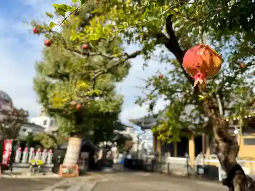 福王山  慈眼寺の自然