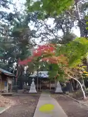 大桝神社の建物その他