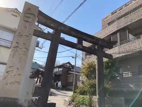 白山神社(東京都)