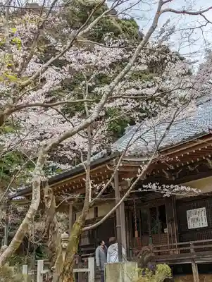 勝持寺（花の寺）(京都府)