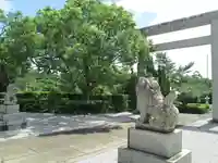 屋久島大社の狛犬