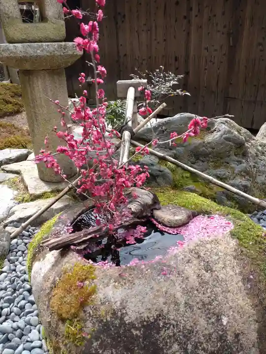 正寿院の手水舎