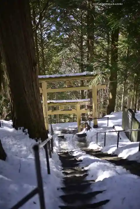 三峯神社(埼玉県)