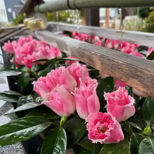 豊景神社(福島県)