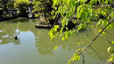 天津神社(奈良県)