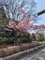 靖國神社(東京都)