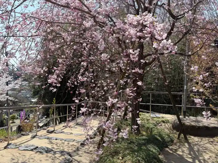 安岡寺(大阪府)