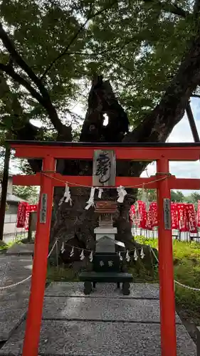 秩父今宮神社(埼玉県)