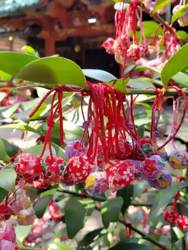 赤坂氷川神社のその他建物