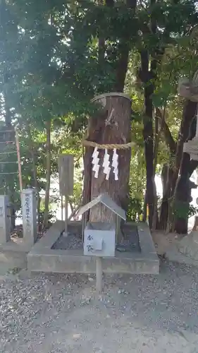白山神社（二子町）の自然