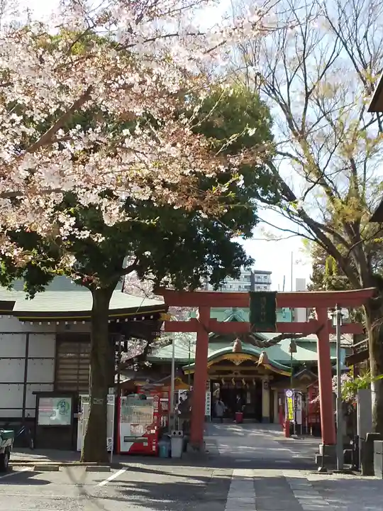 須賀神社の鳥居
