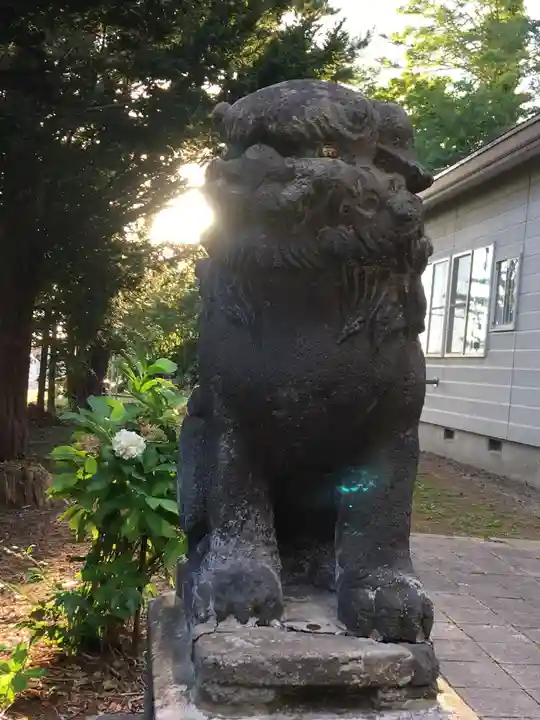 今金八幡神社の狛犬