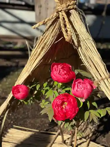 上野東照宮(東京都)