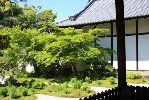 廬山寺（廬山天台講寺）(京都府)