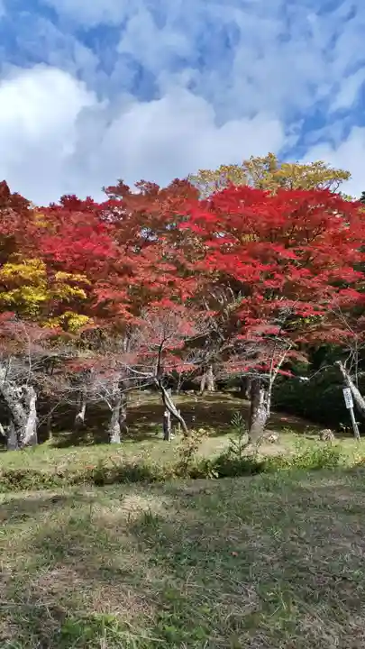 土津神社|こどもと出世の神さまの自然