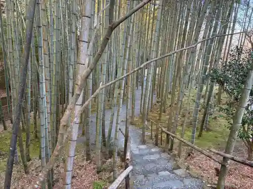 圓光寺の{uncategorized: "未分類", other: "その他", undefined: "問題あり", building: "その他建物", grave: "お墓", sacred_gate: "鳥居", guardian: "狛犬", statue: "像", buddha: "仏像", history: "歴史", nature: "自然", garden: "庭園", animal: "動物", pagoda: "塔", temizu: "手水舎", mountain_gate: "山門・神門", sanctuary: "本殿・本堂", subordinate: "末社・摂社", art: "芸術", scenery: "景色", jizo: "地蔵", ema: "絵馬", goshuin: "御朱印", omikuji: "おみくじ", items: "授与品その他", amulet: "お守り", goshuincho: "御朱印帳", eats: "食事", festival: "お祭り", votive_dance: "神楽", shichigosan: "七五三参", wedding: "結婚式", experience: "体験その他", initially: "初詣", around: "周辺", anti_infection: "感染症対策"}