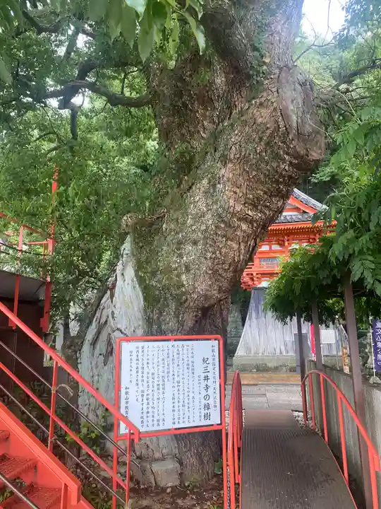 金剛宝寺(紀三井寺)(和歌山県)