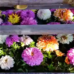 豊景神社の手水