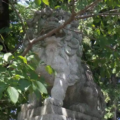 針綱神社の狛犬