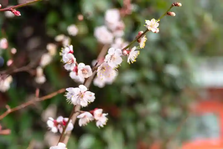 筥崎宮(福岡県)