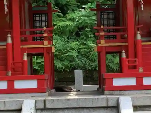 白金氷川神社(東京都)