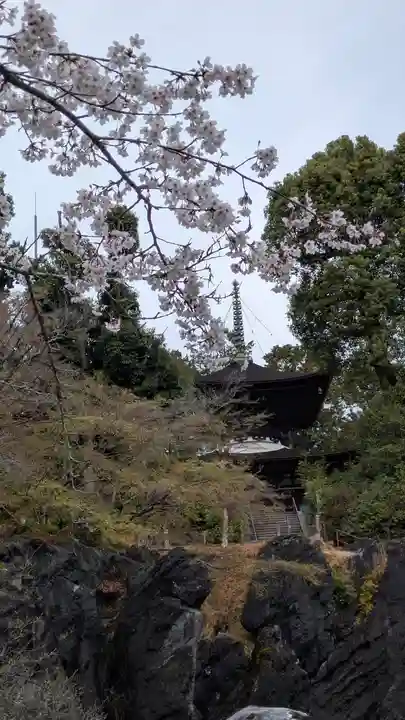 石山寺(滋賀県)