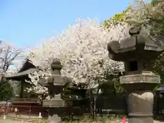 上野東照宮の建物その他