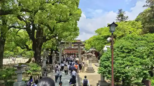 太宰府天満宮(福岡県)